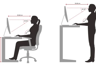 Postural Alignment Exercises for Desk Workers: Reclaim Your Spine